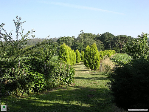Camino Frances - ©By Flickr user Fresco Tours... Camino Frances (Camino de Santiago): Camino Frances - ©By Flickr user Fresco Tours...