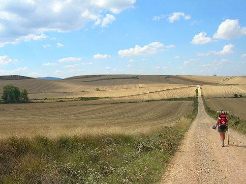 Spain NW The Camino, Camino Frances (Camino de Santiago), Camino Frances, Walkopedia