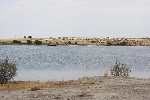 Caceres Inland Beach - ©By Flickr user Cotallo-Nonocot... Via de la Plata (Seville to Santiago): Caceres Inland Beach - ©By Flickr user Cotallo-Nonocot...