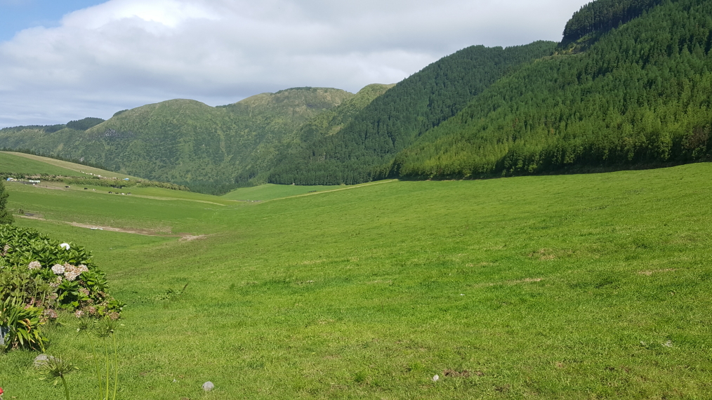 Portugal Azores Sao Miguel, Caldeira das Sete Cidades, Absurdly alpine field, Walkopedia