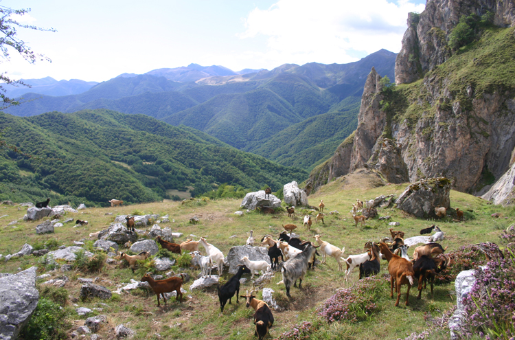 Spain NW Picos de Europa, Central Picos Traverse, , Walkopedia