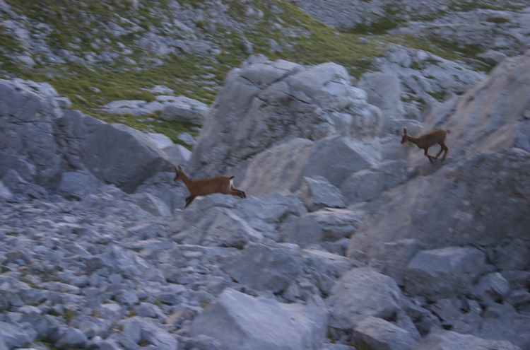 Spain NW Picos de Europa, Central Picos Traverse, , Walkopedia