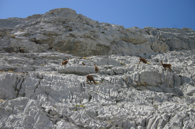 Spain NW Picos de Europa, Jermoso Traverse, , Walkopedia