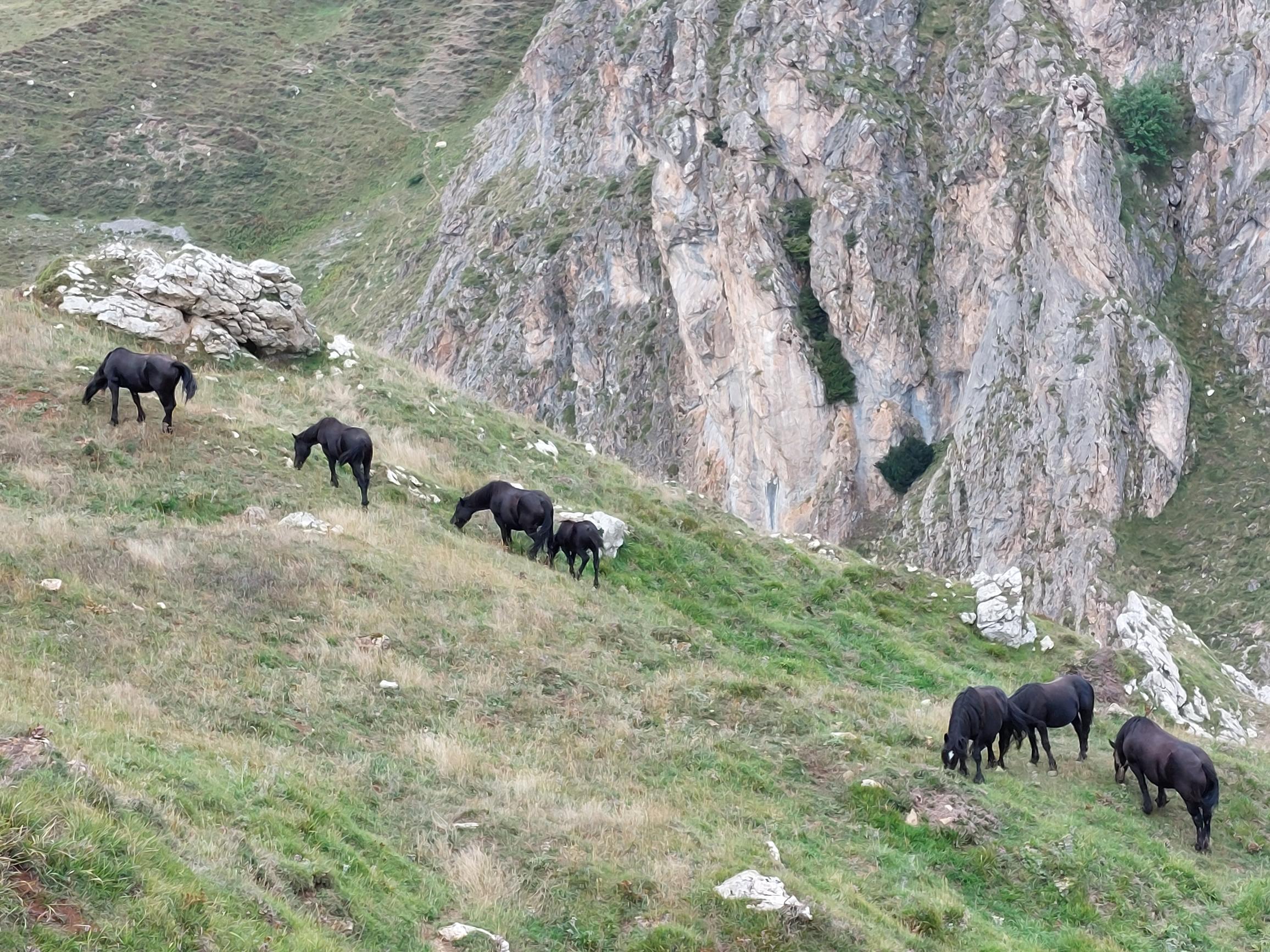 Spain NW Picos de Europa, Aliva Circuit, , Walkopedia