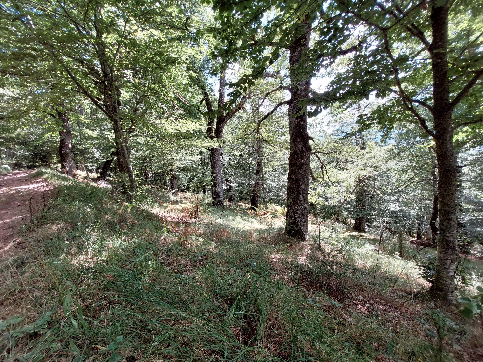 Spain NW Picos de Europa, Aliva Circuit, , Walkopedia