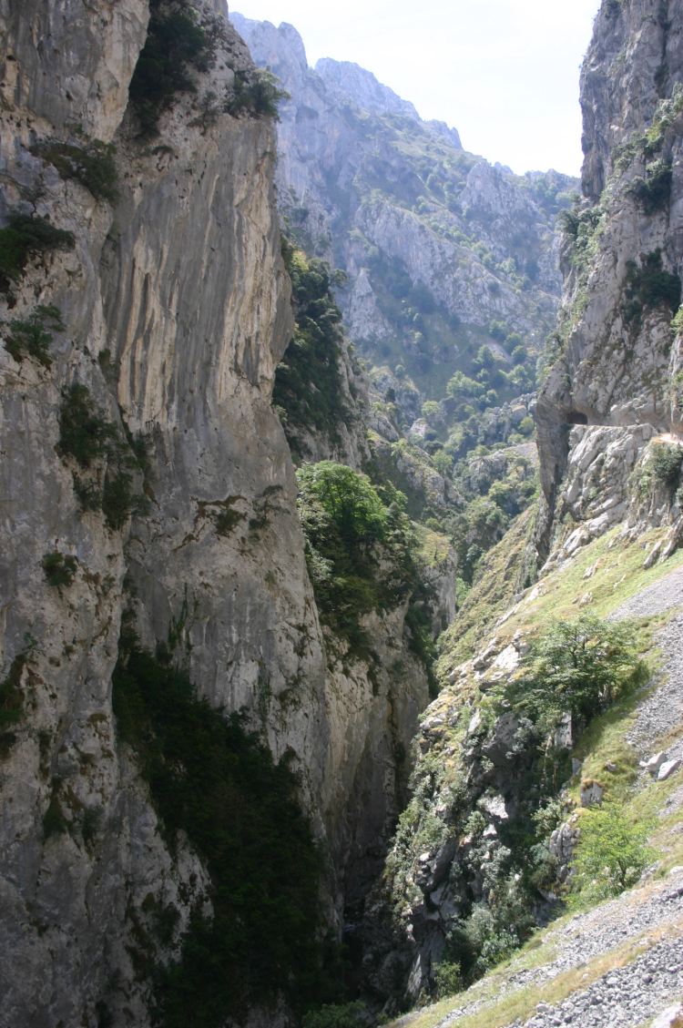 Spain NW Picos de Europa, Picos de Europa, Cares Gorge, Walkopedia