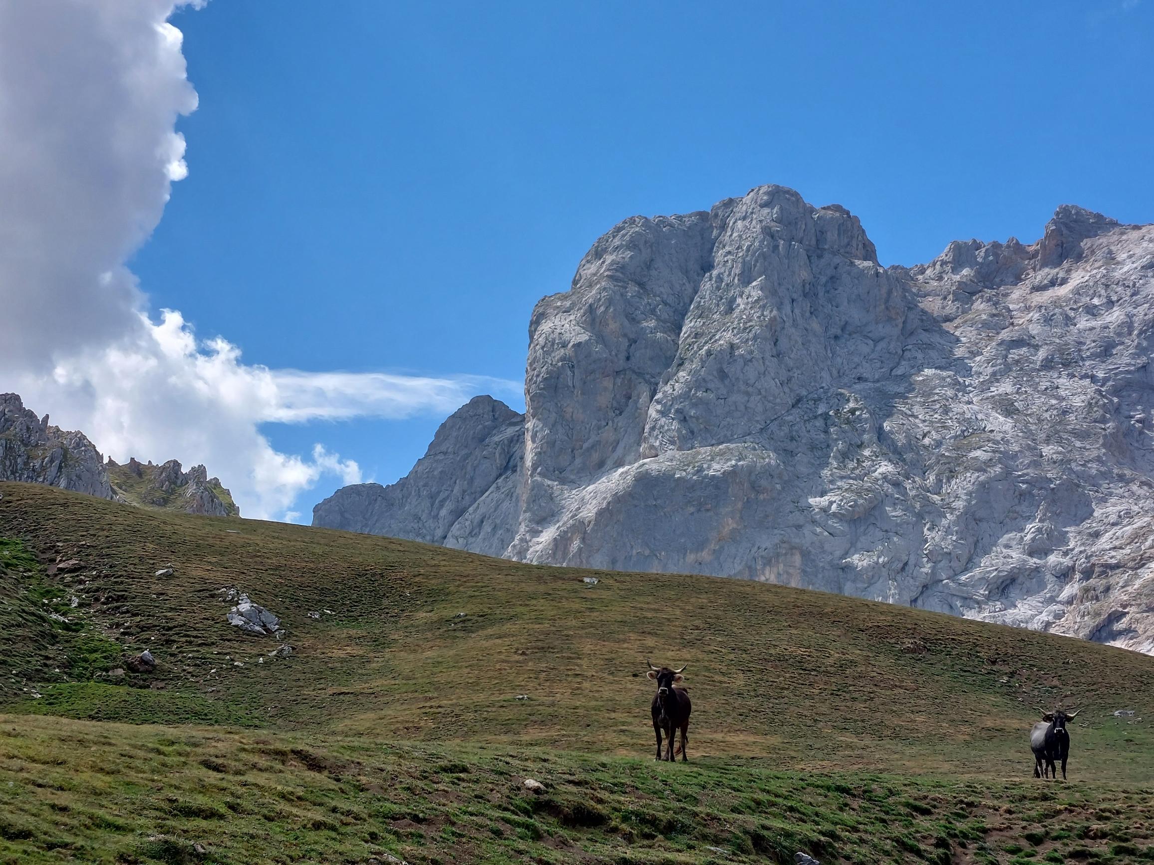 Spain NW Picos de Europa, Picos de Europa, Above Aliva Refuge, Walkopedia