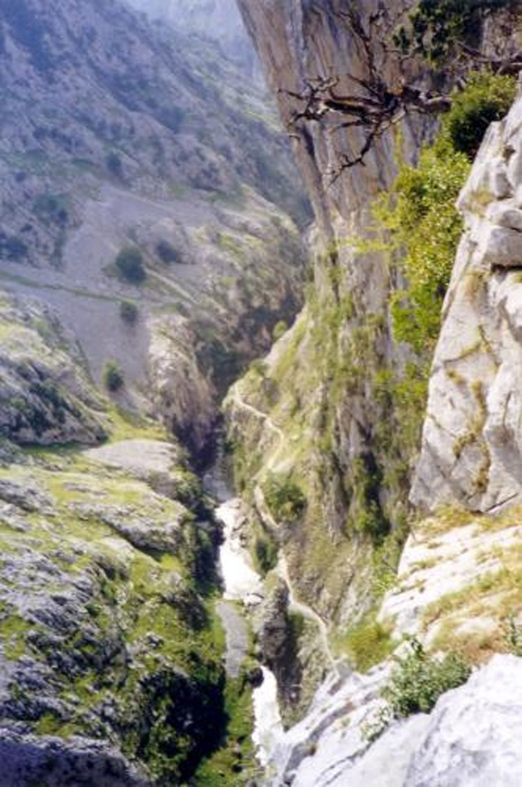 Picos de Europa: Cares Gorge - © By Flickr user carlos m gonzales1