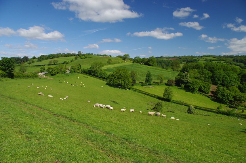 United Kingdom England Cotswolds, Cotswold Way, Cotswold Way , Walkopedia