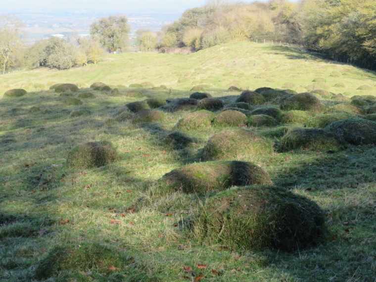 United Kingdom England Cotswolds, Cotswold Way, , Walkopedia