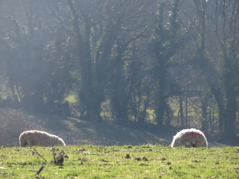 United Kingdom England Cotswolds, Cotswold Way, , Walkopedia