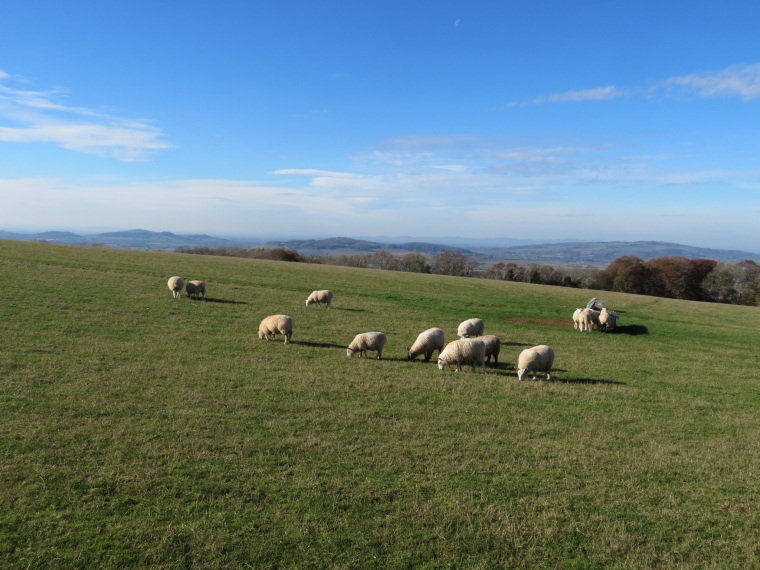 United Kingdom England Cotswolds, Cotswold Way, Towards Severn valley, Walkopedia