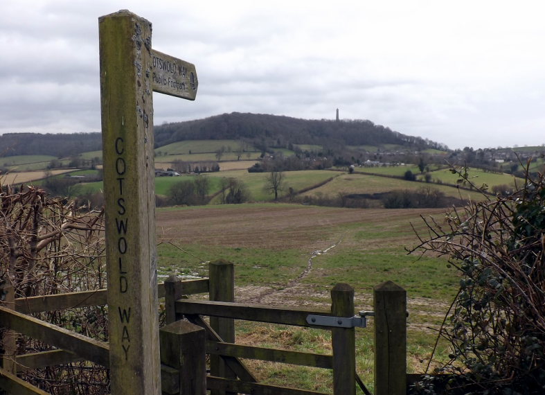 United Kingdom England Cotswolds, Cotswold Way, Tyndale Monument from further along the Cotswold way. , Walkopedia