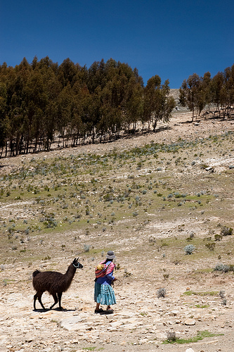 Bolivia Lake Titicaca, Isla del Sol, Quechin woman, Isla del Sol, Walkopedia