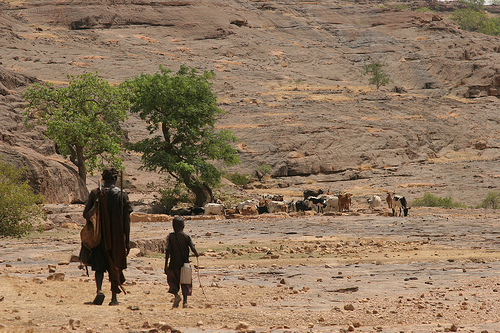 Mali, Dogon Country, Dogon Country - , Walkopedia