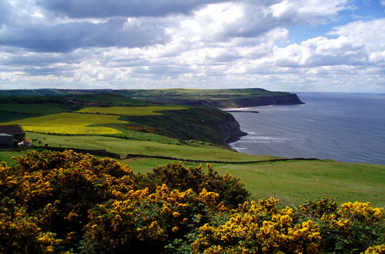 United Kingdom England North, Cleveland Way, Huntcliff, Walkopedia