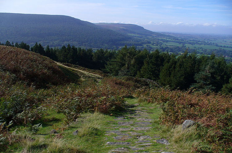 United Kingdom England North, Cleveland Way, Cleveland Way at Live Moor, Walkopedia