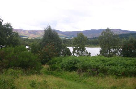 Muir of Dinnet (Loch Kinord and Burn O'Vat): © William Mackesy