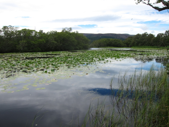 United Kingdom Scotland Cairngorms, Muir of Dinnet (Loch Kinord and Burn O'Vat), , Walkopedia