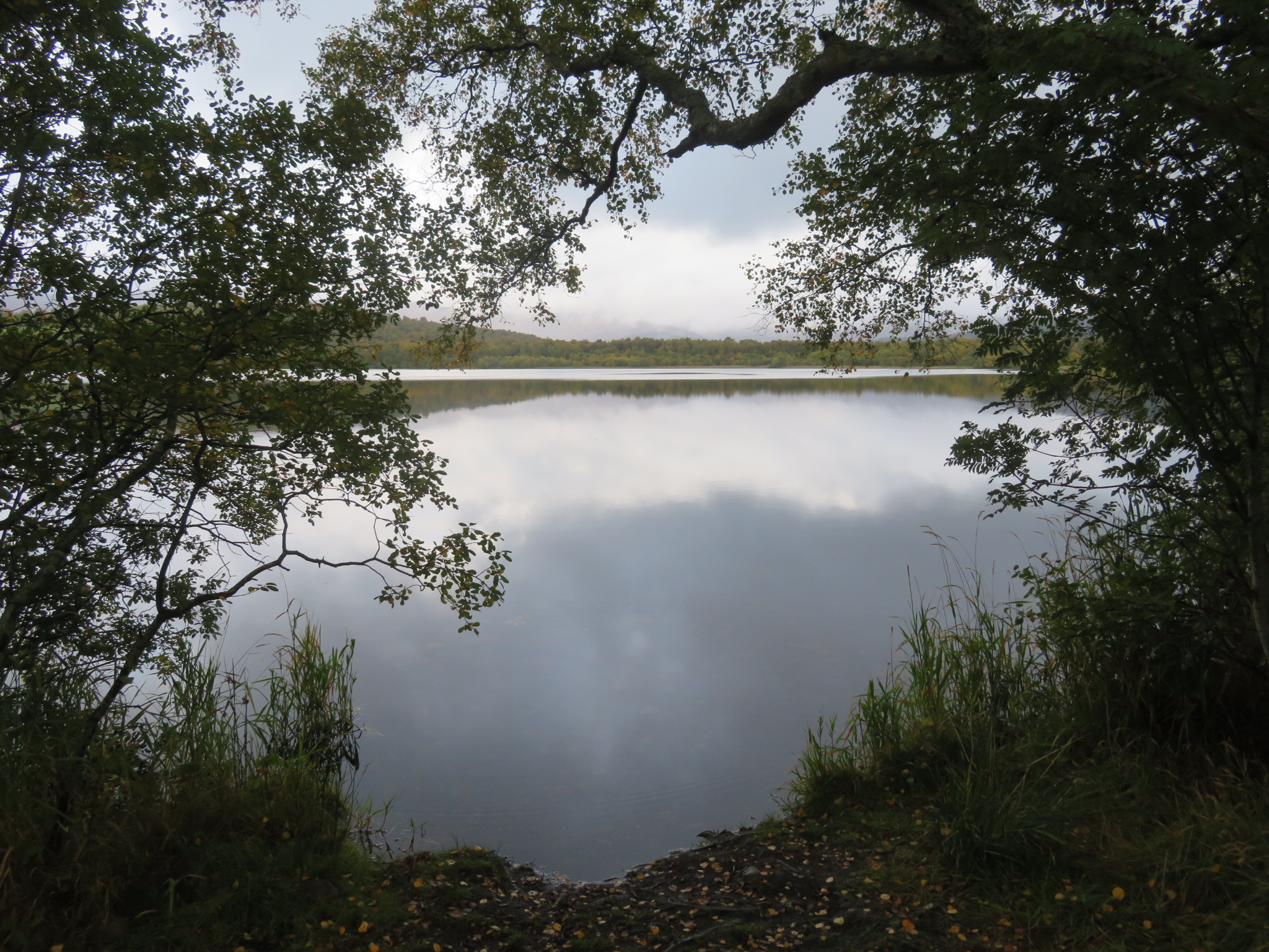 United Kingdom Scotland Cairngorms, Muir of Dinnet (Loch Kinord and Burn O'Vat), , Walkopedia