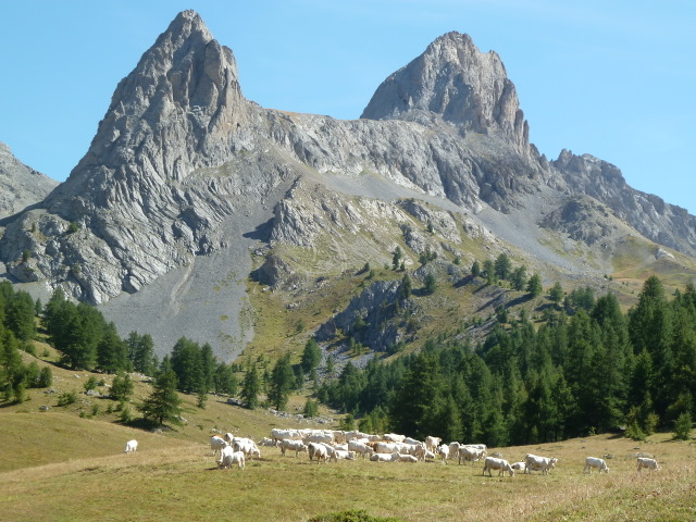 France Alps, GR5 or Grand Traverse des Alpes, Pointe de la Selle, Walkopedia