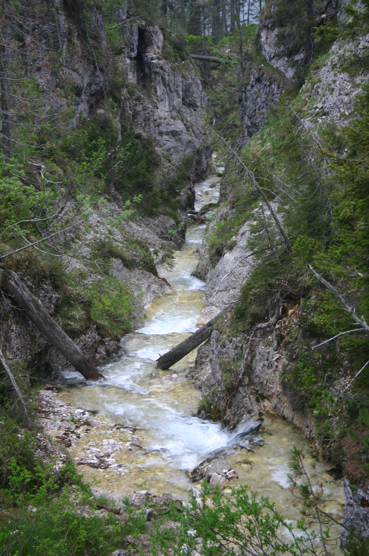 Italy Dolomites, Croda da Lago Circuit, , Walkopedia