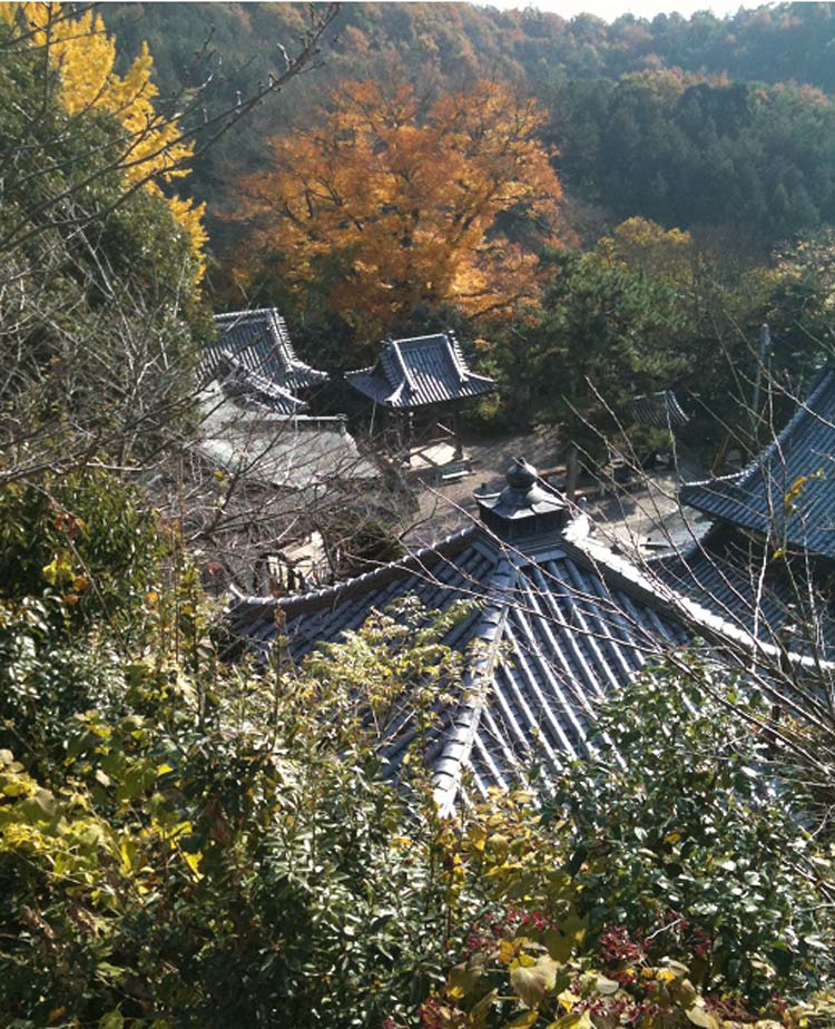 Temples in Valley - © By Nils Wetterlind Shikoku Pilgrimage: Temples in Valley - © By Nils Wetterlind