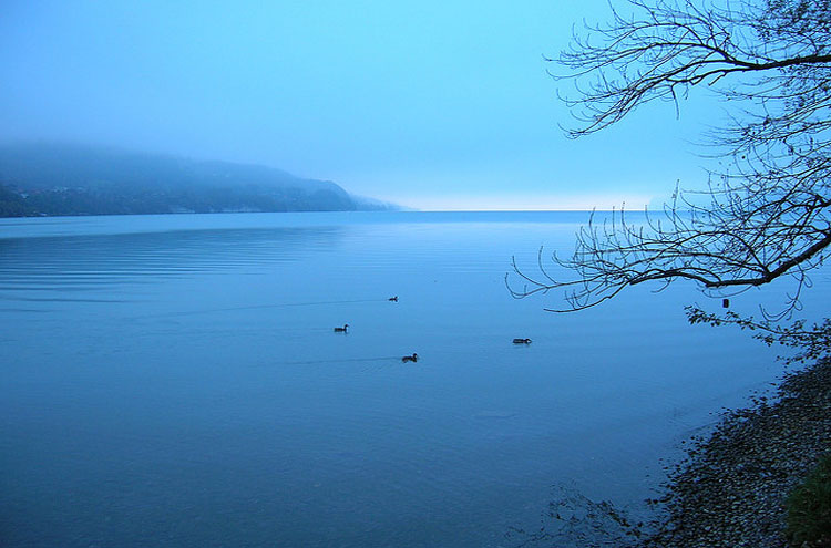 Interlaken - ©By Flickr user Tell_Jeeves... Via Jacobi (aka Jakobsweg): Interlaken - ©By Flickr user Tell_Jeeves...