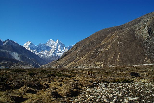 Nepal Everest Region, Mt Everest Base Camp, Everest Base Camp, Nepal - Pheriche, Walkopedia