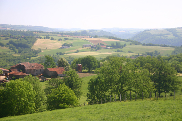 Chemin St Jacques - ©William Mackesy Chemin St Jacques: Chemin St Jacques - ©William Mackesy