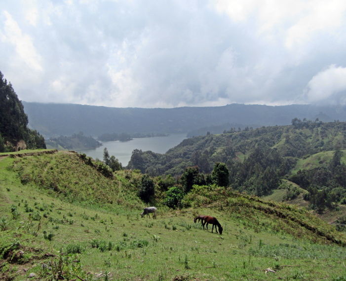 Ethiopia Central, Wonchi Crater Lake , Horses and Wenchi Crater Lake , Walkopedia