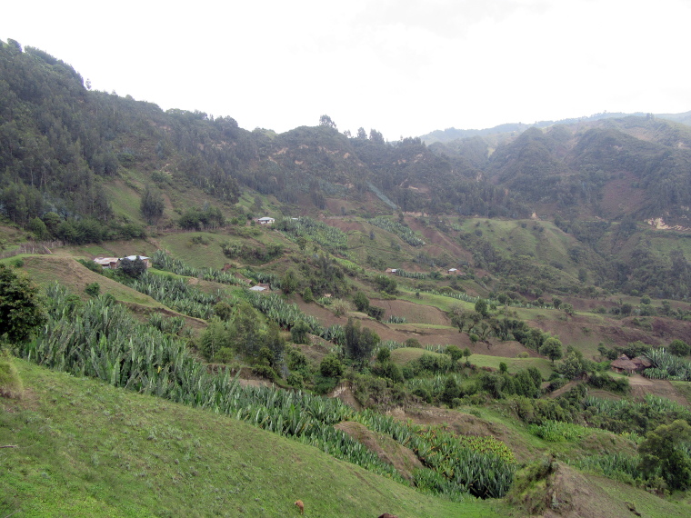 Ethiopia Central, Wonchi Crater Lake , Side of the Crater, Walkopedia