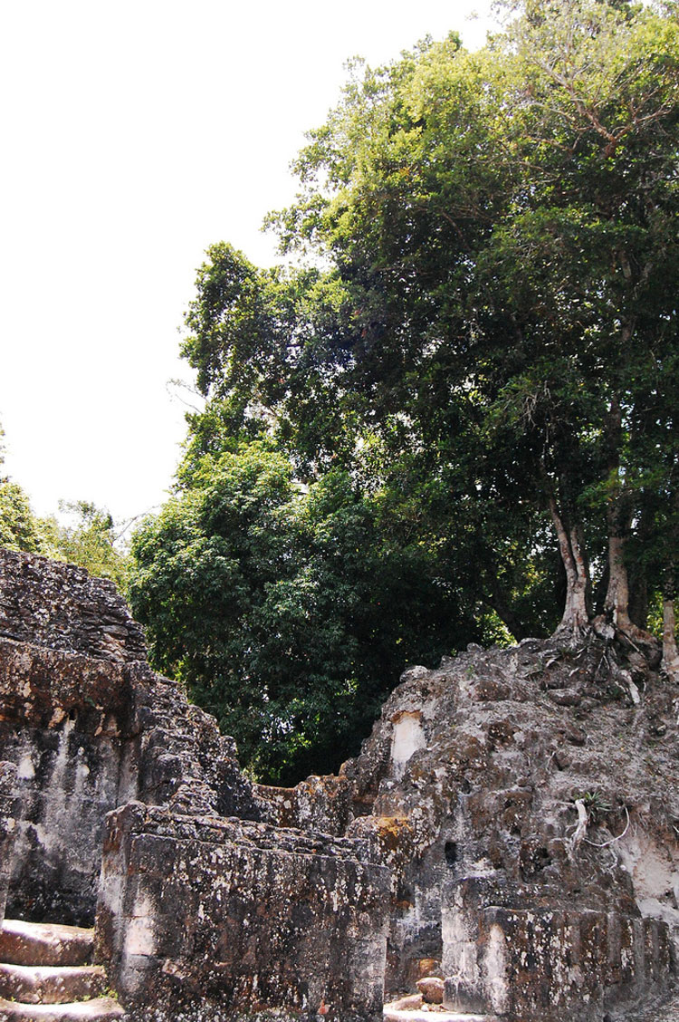 Guatemala, Mayan Guatemala, Tikal, Walkopedia