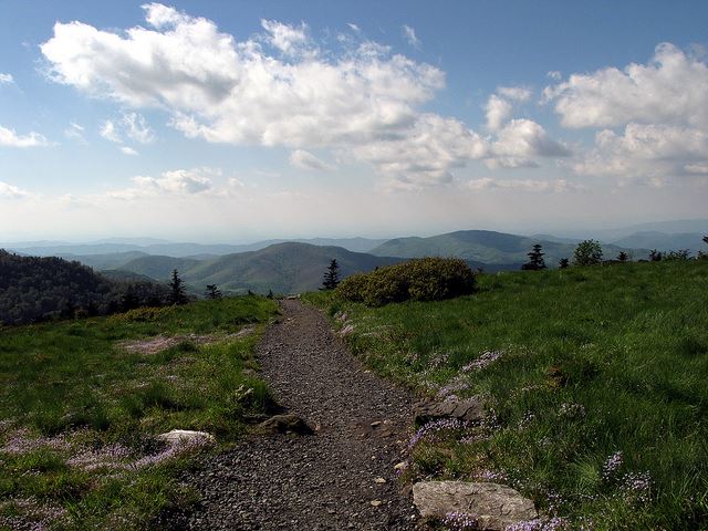 USA Eastern, Appalachian Trail, Appalachian Trail - Carver's Gap, Walkopedia