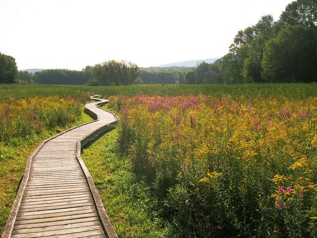 USA Eastern, Appalachian Trail, Appalachian Trail - Pochuck Valley, Walkopedia