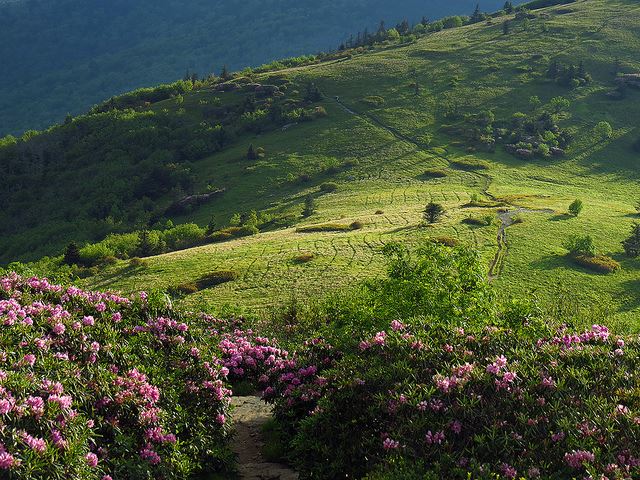 USA Eastern, Appalachian Trail, Appalachian Trail, Walkopedia