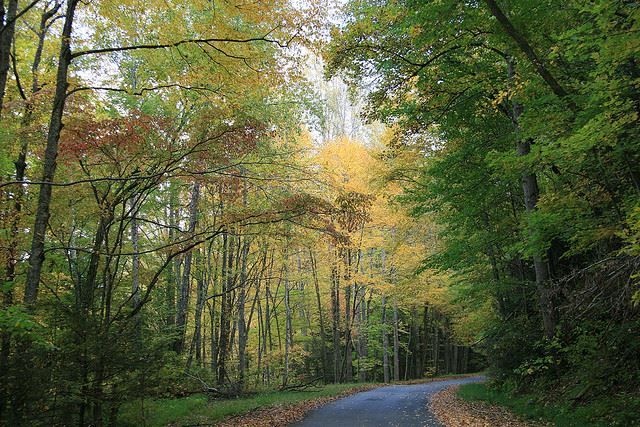 USA Eastern, Appalachian Trail, Appalachian Trail - near Fontana Dam, North Carolina, Walkopedia