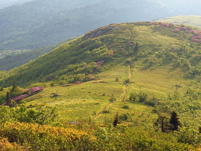 USA Eastern, Appalachian Trail, Appalachian Trail - Round Bald, Walkopedia