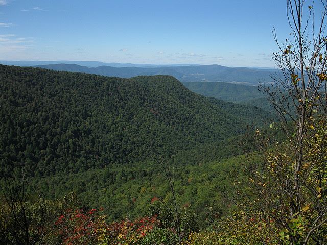 Appalachian Trail: Appalachian Trail - Virginia - © Flickr user carobe