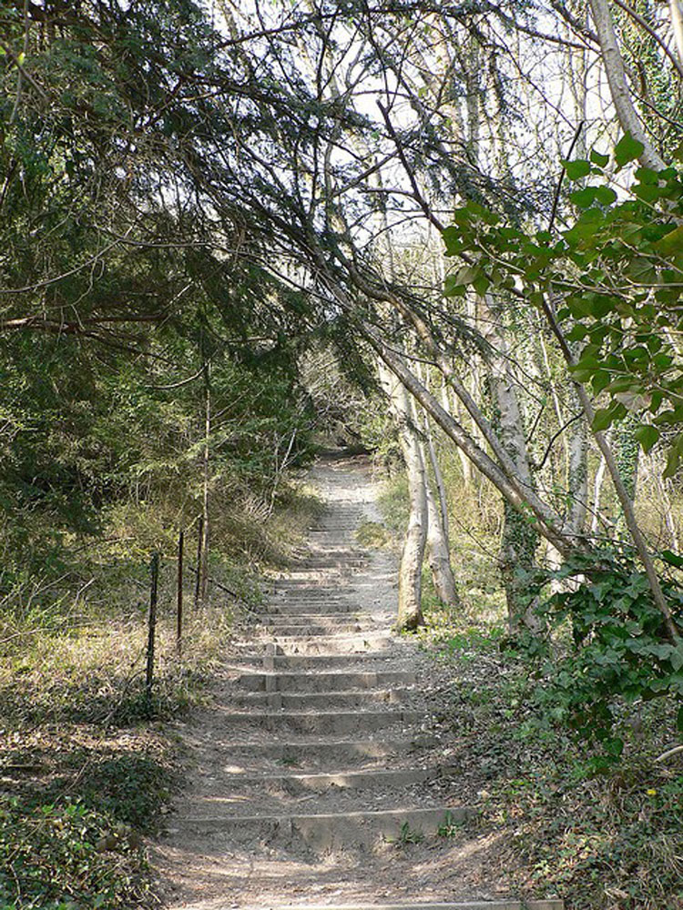 United Kingdom England South, Box Hill, Path, Box Hill, Walkopedia