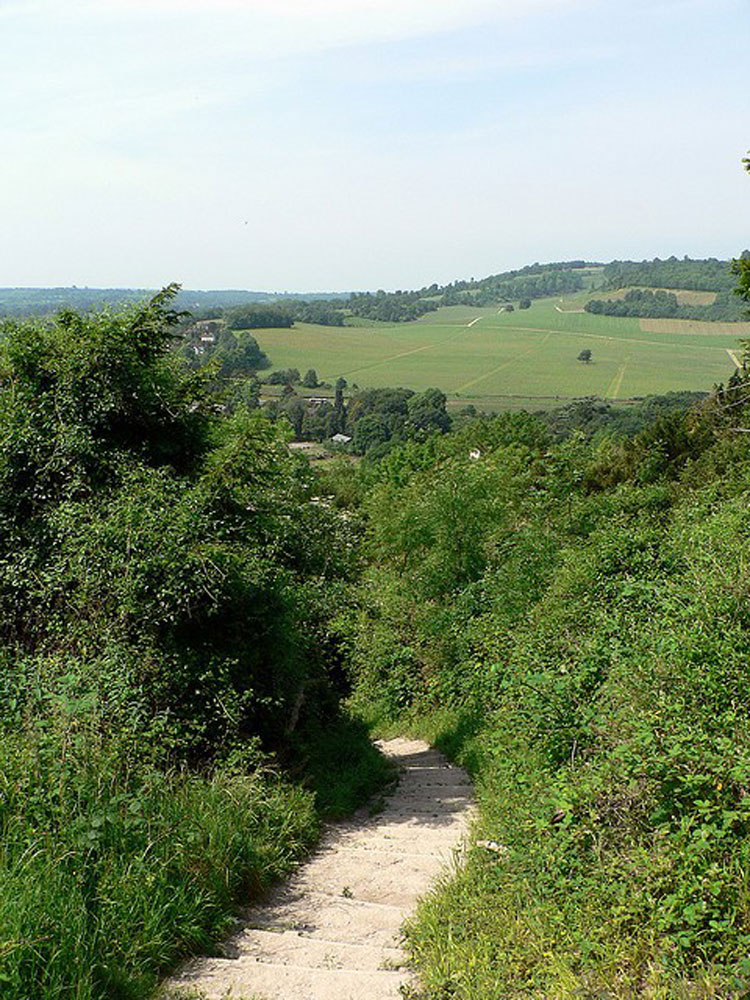 United Kingdom England South, Box Hill, The English Countryside, Box Hill, Walkopedia