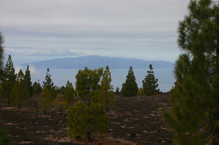 Spain Canary Islands: Tenerife, Samara, , Walkopedia