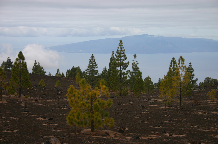 Spain Canary Islands: Tenerife, Samara, , Walkopedia