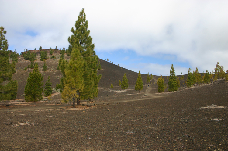 Spain Canary Islands: Tenerife, Samara, , Walkopedia