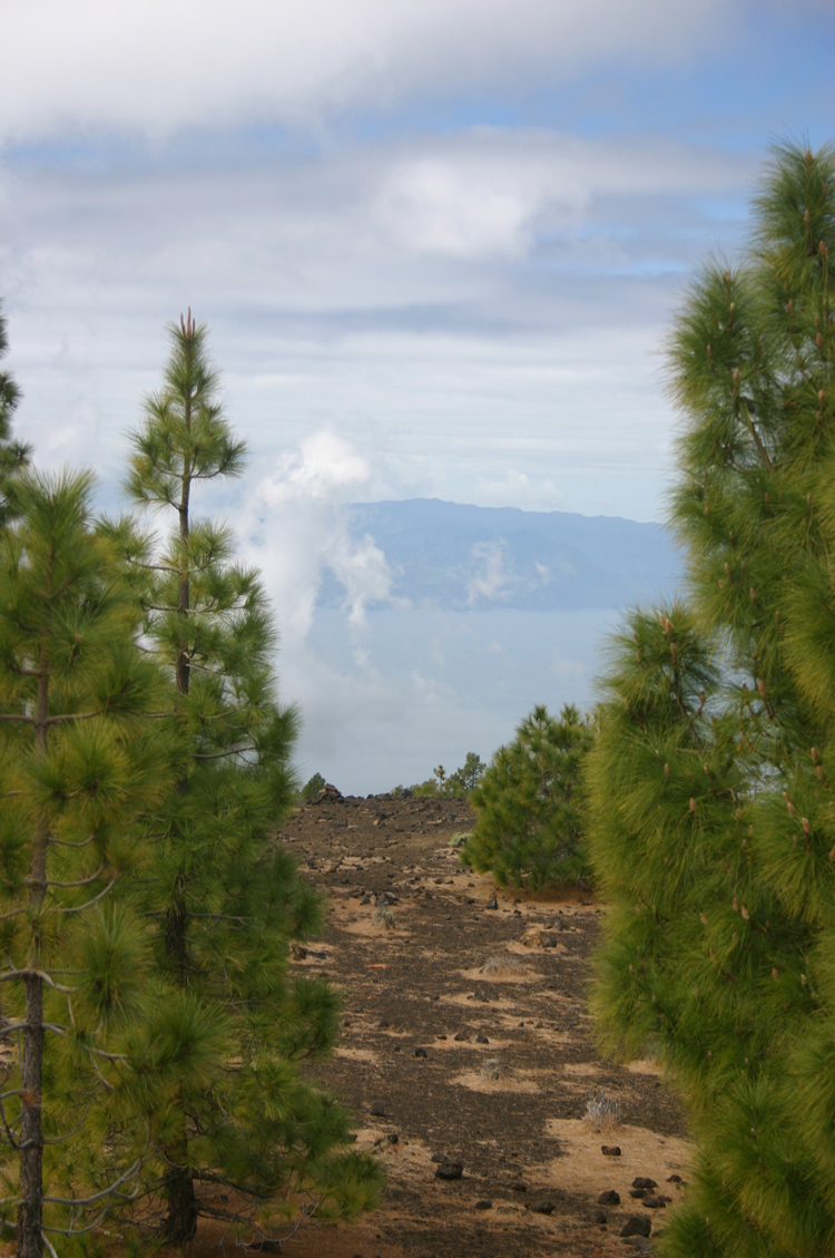 Spain Canary Islands: Tenerife, Samara, , Walkopedia