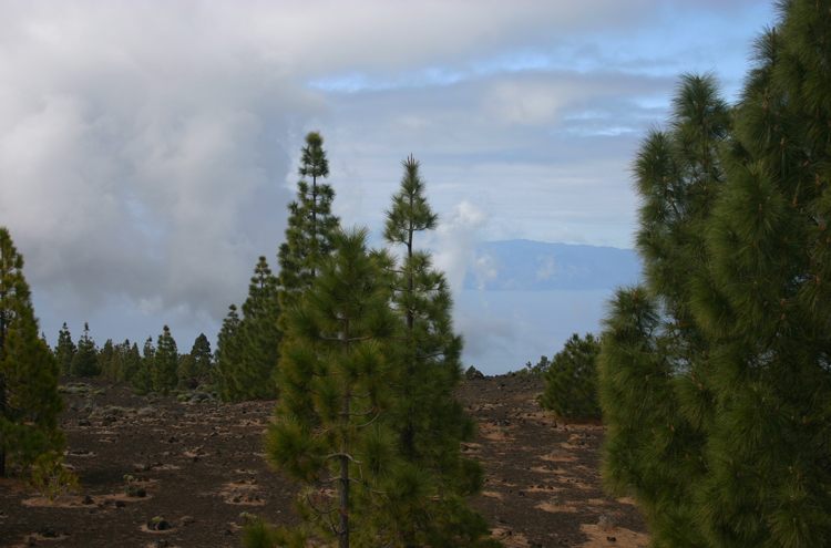 Spain Canary Islands: Tenerife, Samara, , Walkopedia