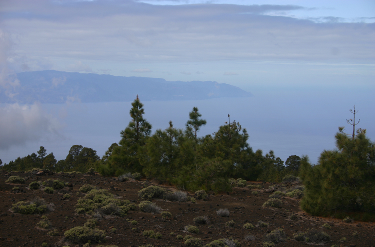 Spain Canary Islands: Tenerife, Samara, , Walkopedia