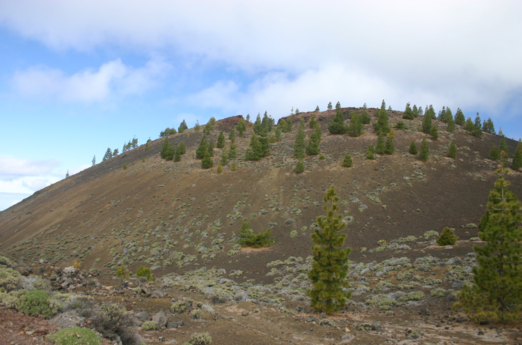 Spain Canary Islands: Tenerife, Samara, , Walkopedia