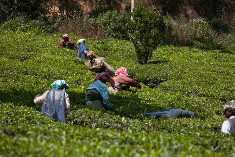 © James Kerr Western Ghats: © James Kerr