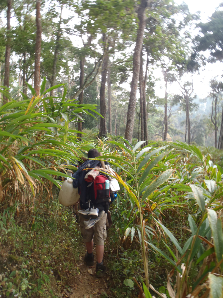 India, Western Ghats, , Walkopedia